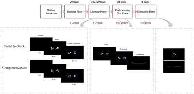 Implicit Counterfactual Effect in Partial Feedback Reinforcement Learning: Behavioral and Modeling Approach